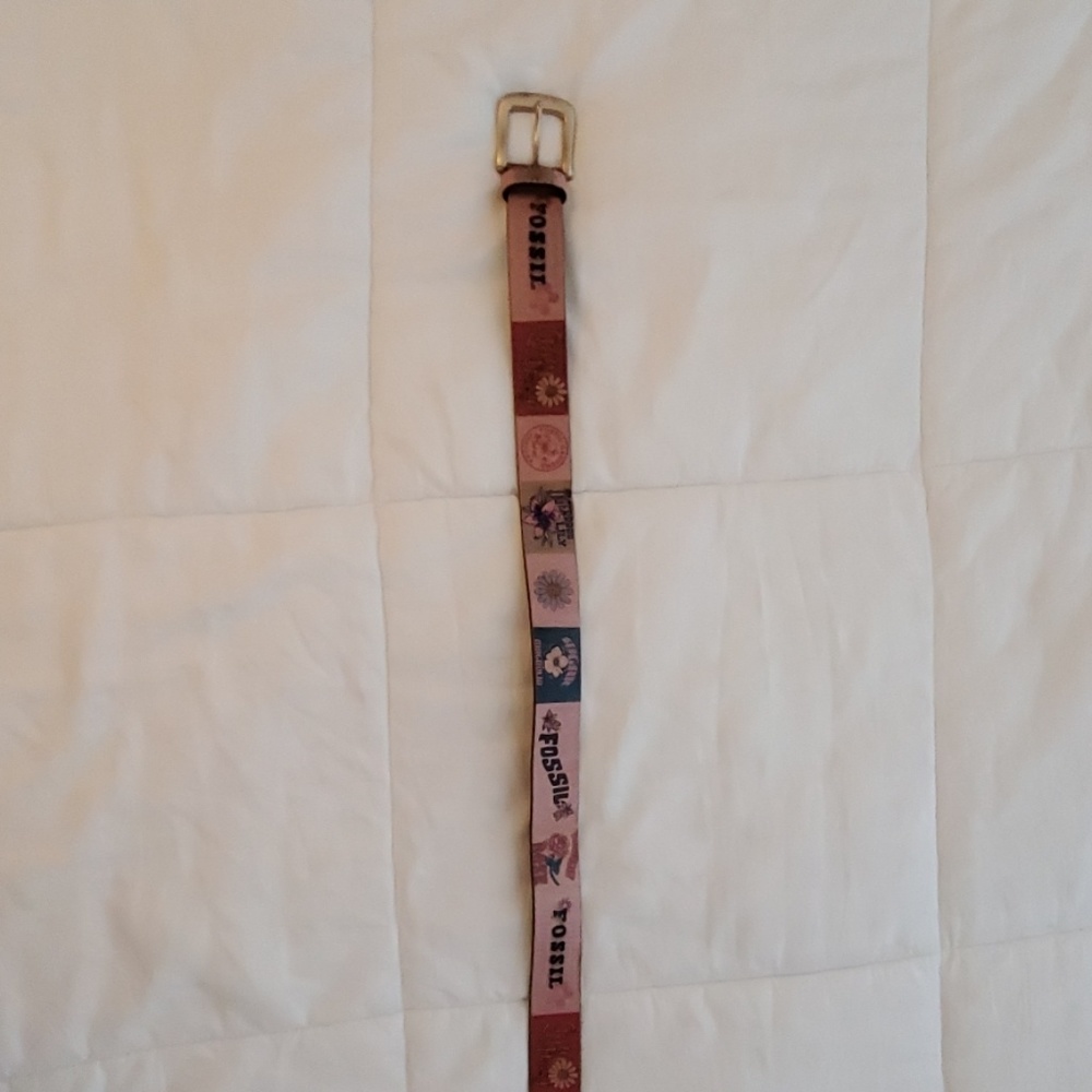 Fossil Belt